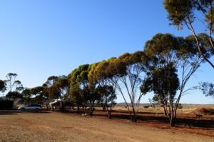 Horseshoe View Caravan Park Campsite, Carrieton South Australia
