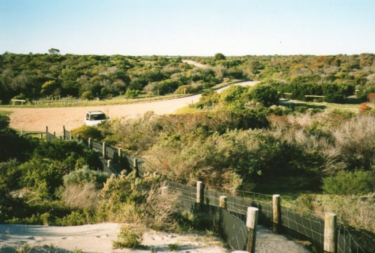 Mozzie Flat Campground, Southern Yorke Peninsula