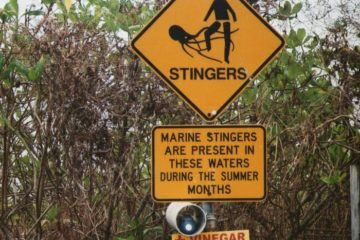 Irukandji Warning Sign on Cairns Beach