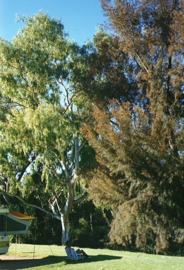 Burra, SA