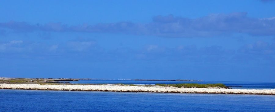 Albrohos Islands, Western Australia (photo courtesy of Bill's Diving Blog )