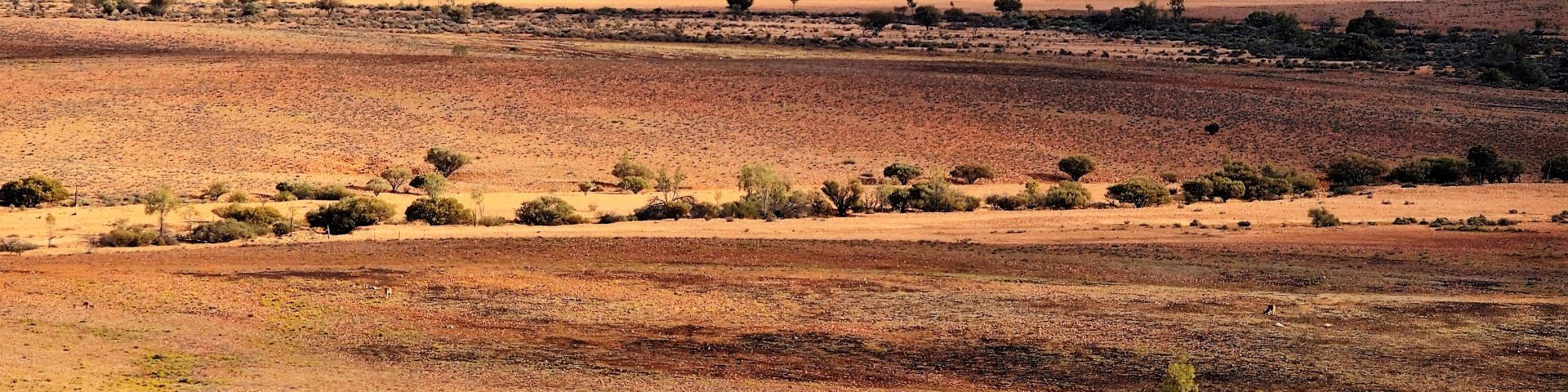Jump Up Lookout, Loop Road, Sturt National Park, New South Wales, Australia