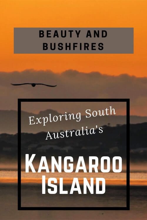 Explore South Australia's Kangaroo Island