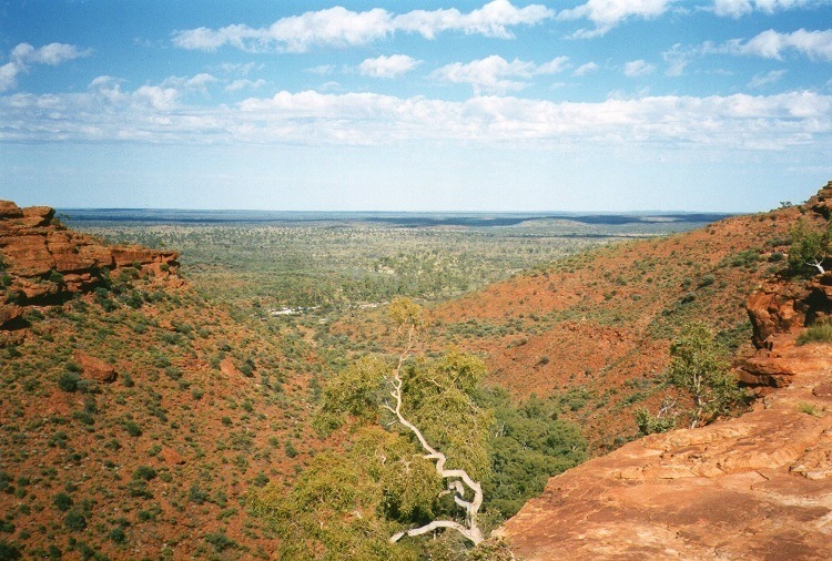 View from Kings Canyon Rim Walk, Central Australia