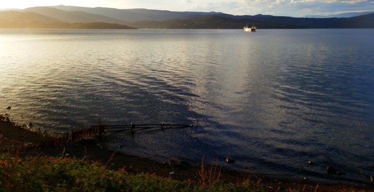 Waiting for the Ferry back to Mainland Tasmania, Bruny Island