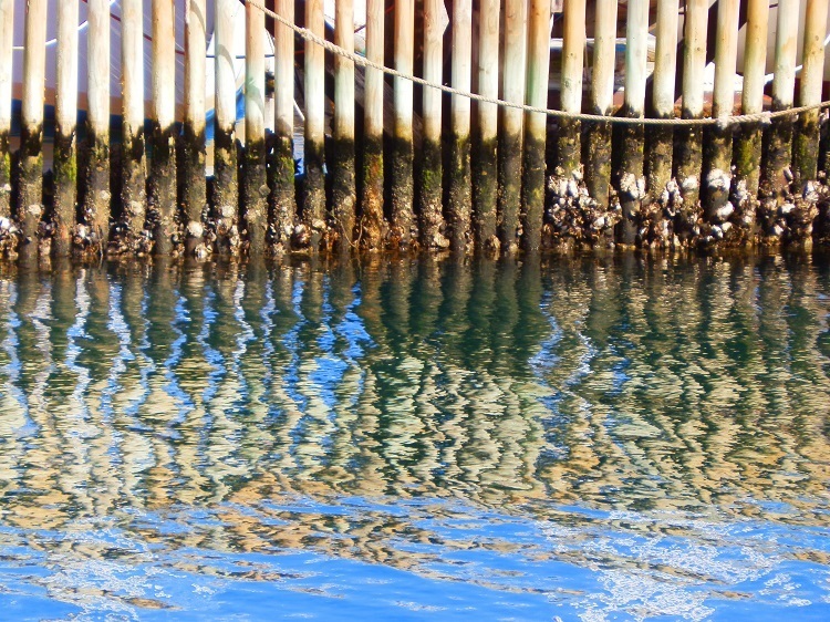 Reflections at Kettering Jetty, Tasmania