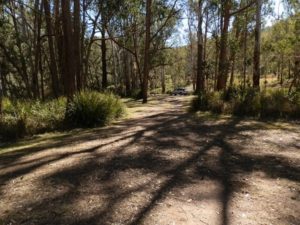 Koreelah National Park Campground