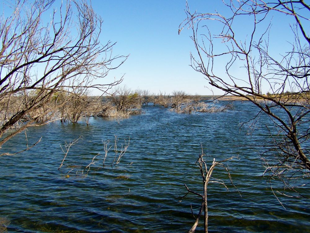 Lake Bindegolly, via Thargomindah, Outback Queensland