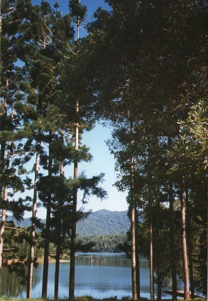Lake Tinaroo, Atherton Tablelands, Queensland