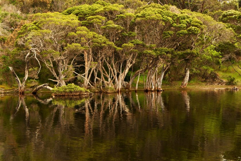 Lashmar Conservation Park, Kangaroo Island