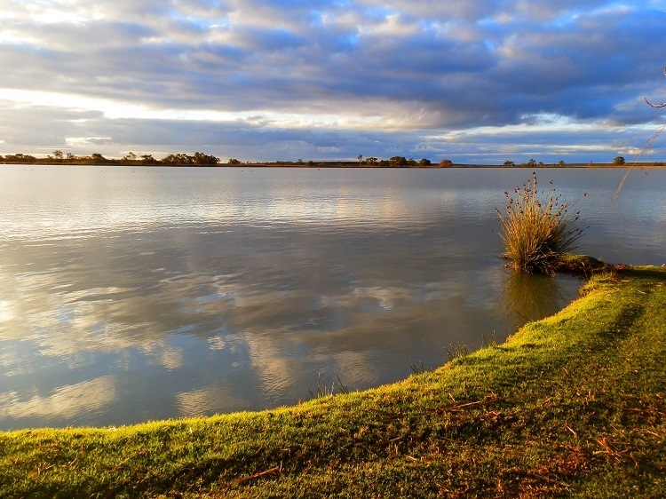 Late Afternoon at Lake Cullulleraine, via Mildura, Victoria