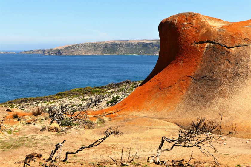 Lichen-covered rocks, Remarkable Rocks, Kangaroo Island