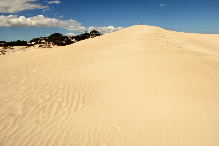 Little Sahara, Kangaroo Island