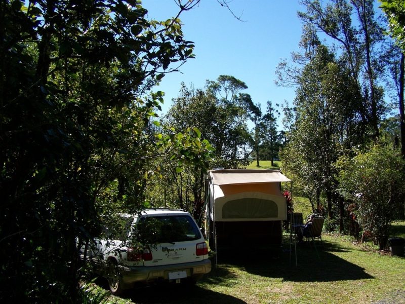 Millaa Millaa Tourist Park Camp site, Atherton Tableland, Far North Queensland