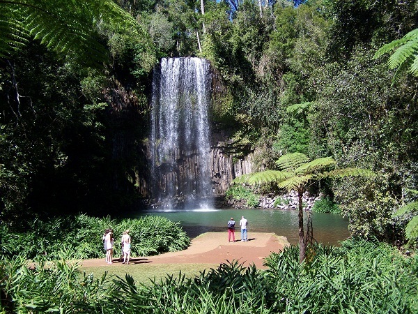 Millaa Millaa Falls, Atherton Tableland, Far North Queensland