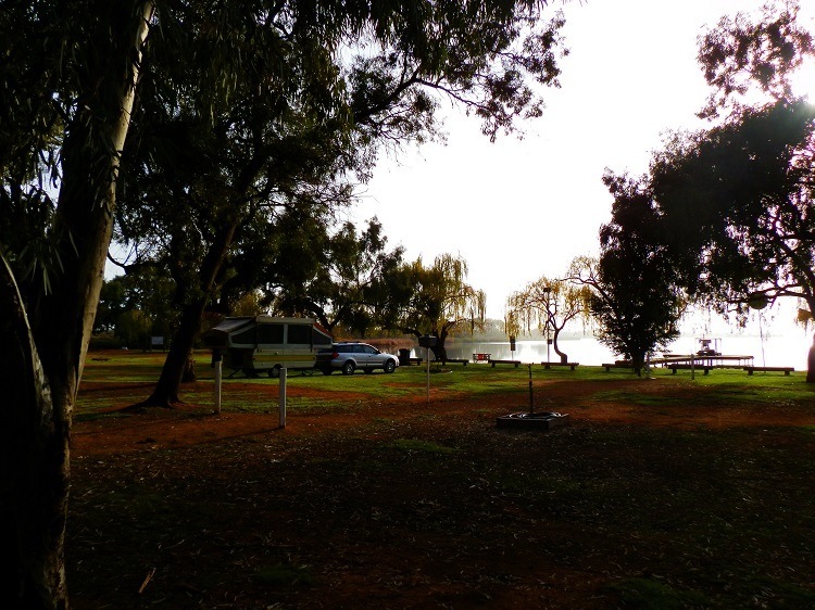 Misty Morning at Bushman's Rest Caravan Park, Lake Cullulleraine