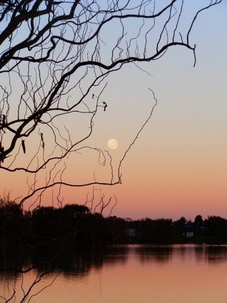 Moon at Sunrise, Lake Cullulleraine, via Mildura, Victoria