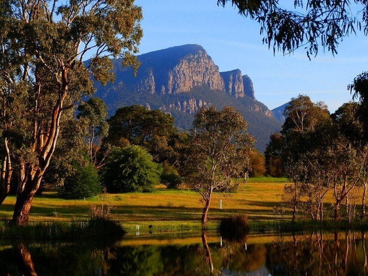 Mt Abrupt from Dunkeld Arboretum