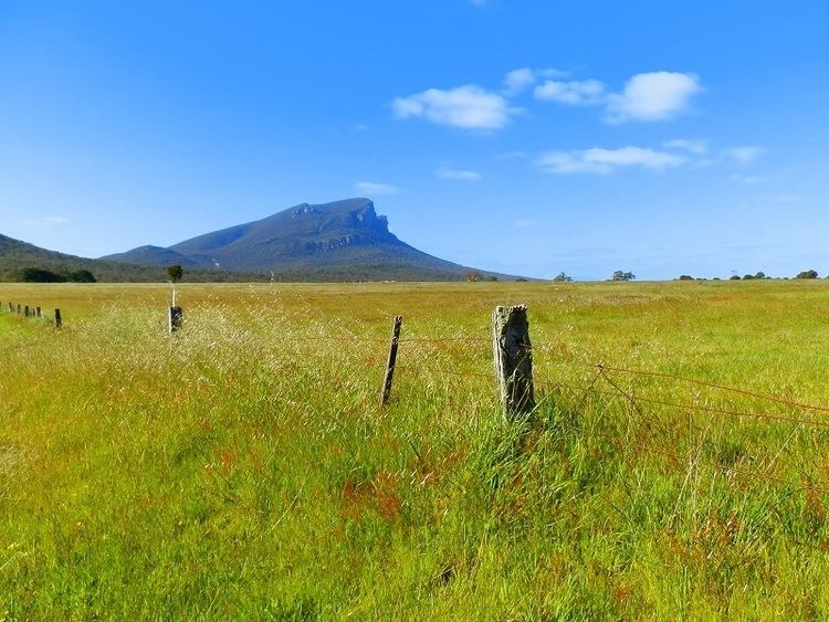 Mt Abrupt from Dunkeld