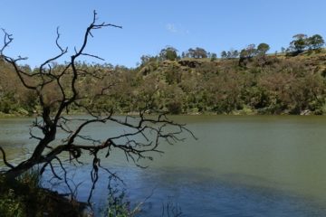 On the Lake Surprise circuit track, Mt Eccles National Park, Victoria