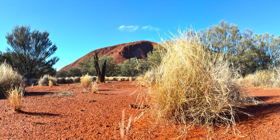 Uluru (Photo Courtesy of Neil Fahey, Bushwalking Blog)