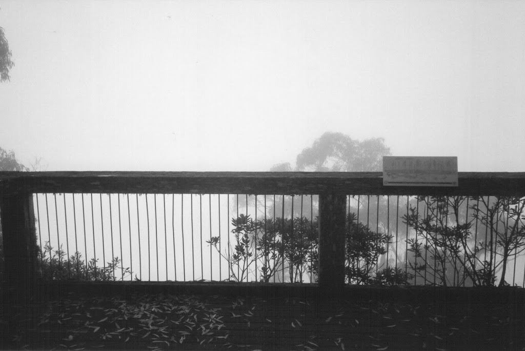 'View' from Point Lookout, New England Ranges, New South Wales