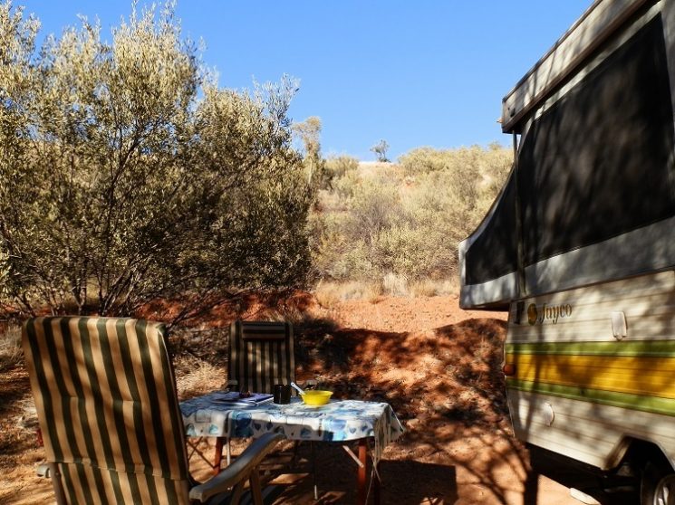 Breakfast is served, Ormiston Gorge Campground, Central Australia, Northern Territory