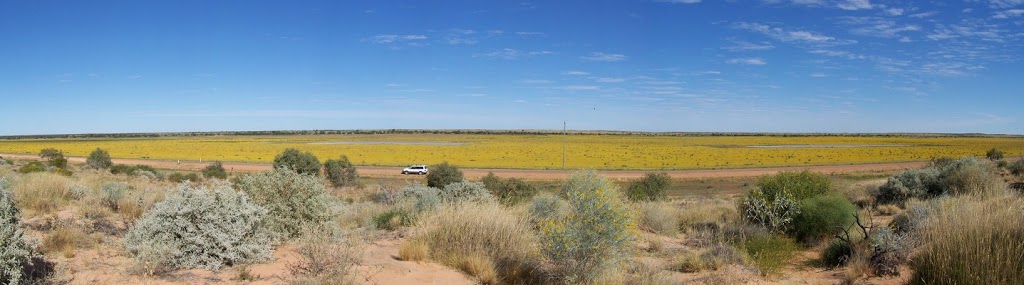 Outback near Bedourie, Queensland