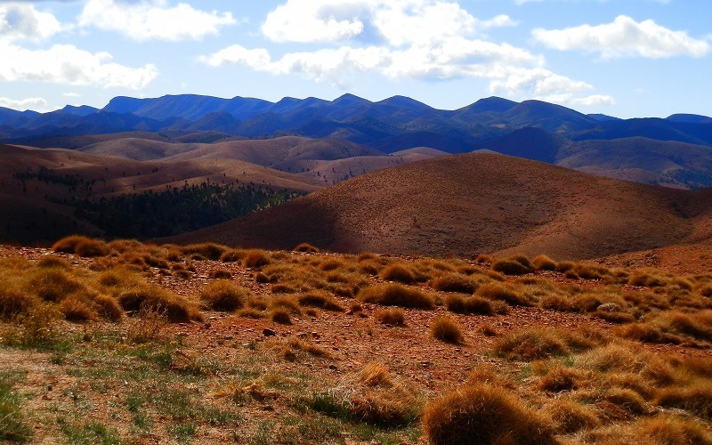 Wilpena Range from outside Wilpena Pound, Flinders Ranges, South Australia