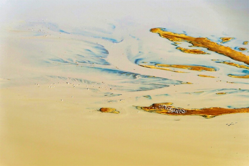 Pelicans at Kati Chanda-Lake Eyre