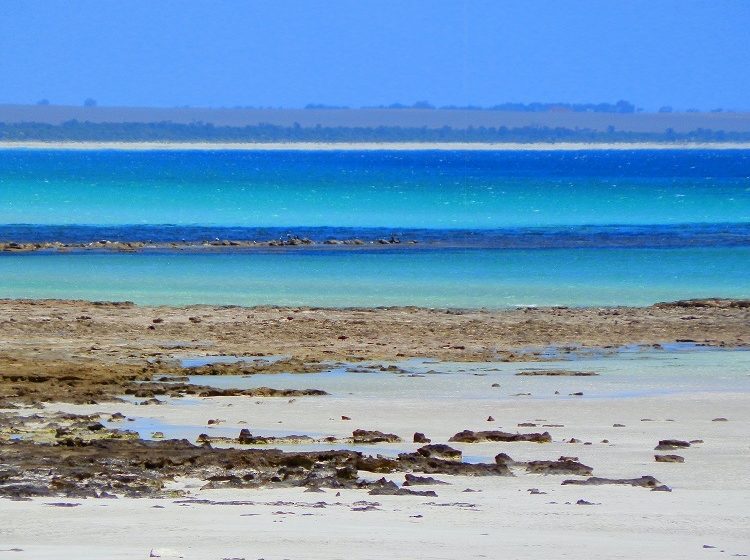 Hardwicke Bay, Yorke Peninsula, South Australia
