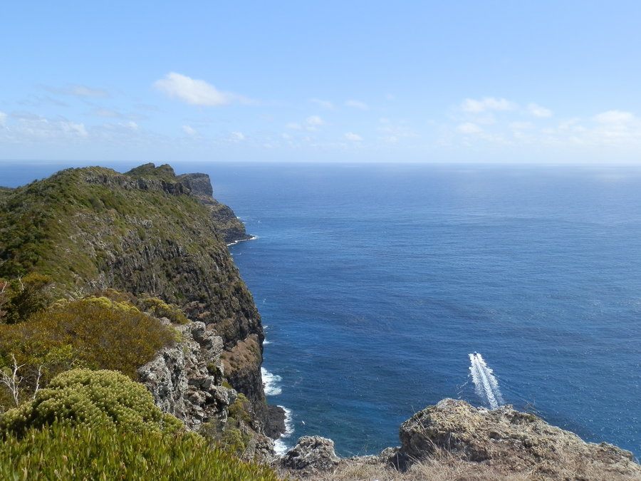Clifftop Trail from Malabar Hill to Kims Lookout, Lord Howe Island