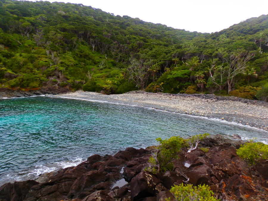 Boat Harbour, Lord Howe Island