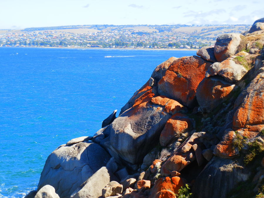 Coastal Scenery near Victor Harbor, South Australia