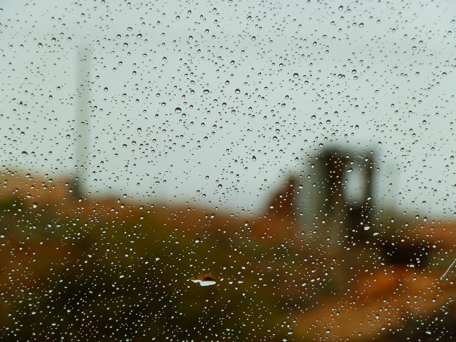 Andamooka Dunny in the rain, South Australia