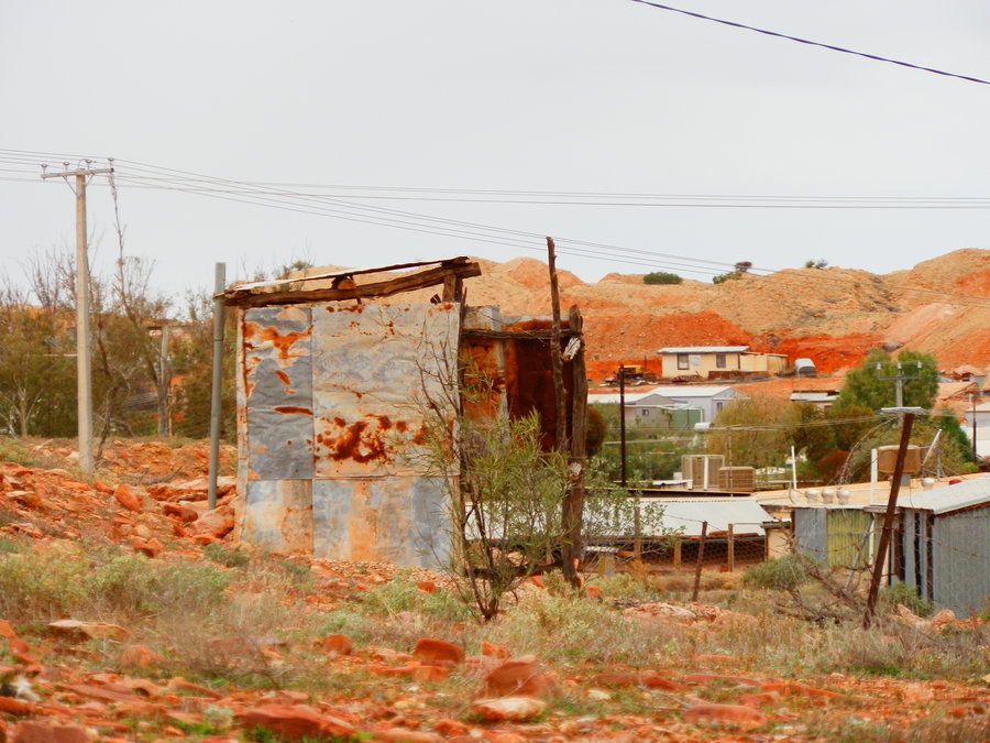 Dunny at the Diggings, Andamooka, South Australia
