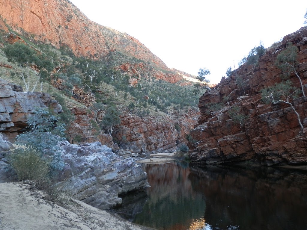 Ormiston Gorge Creek - complete with Dingo!!