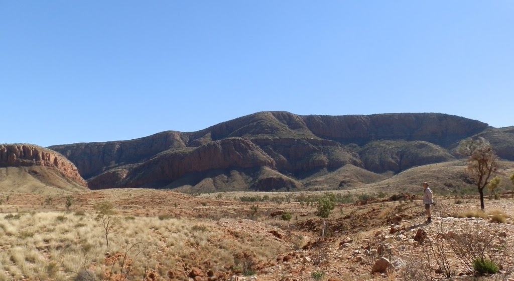 Pilchard in the Pound, West MacDonnell National Park, Central Australia