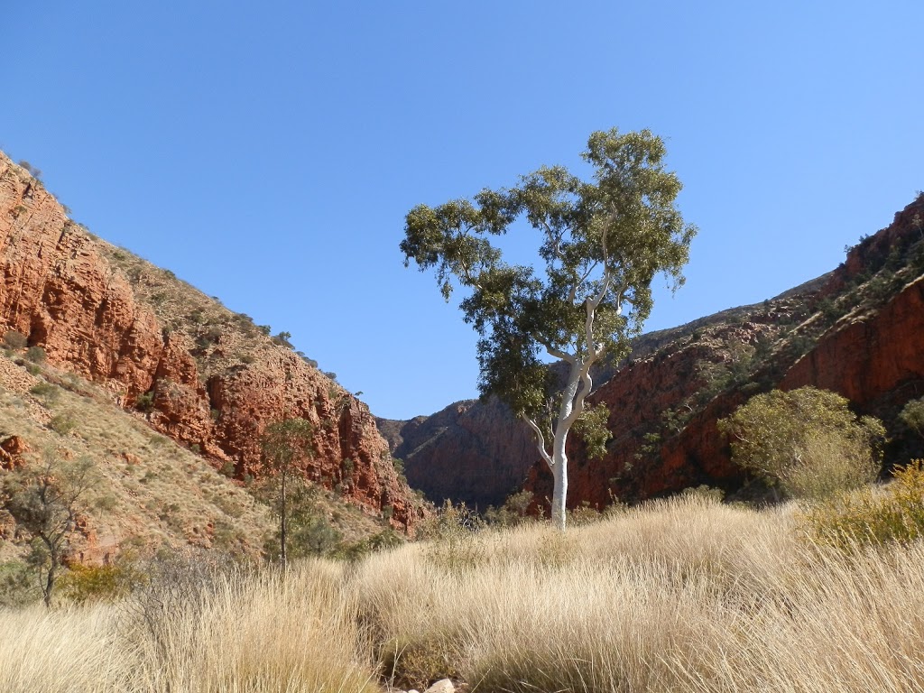 Entering Ormiston Gorge, West MacDonnell National Park, Northern Territory