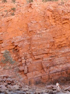 Red and Red Rocks in Ormiston Gorge, West MacDonnell National Park, Central Australia