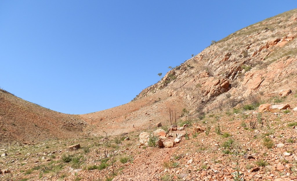 Spot the Pilchard! The Saddle, Ormiston Gorge and Pound trail