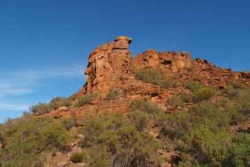 Wild Dog Hill, Whyalla Conservation Park, South Australia