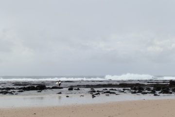 Surf's UP at Sharpes Beach, Ballina, New South Wales