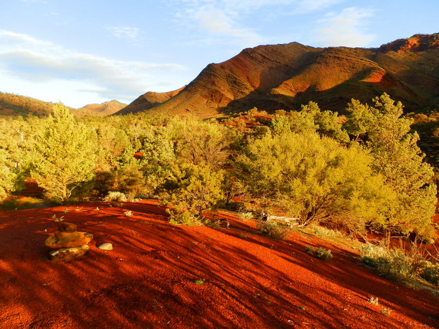 Heysen Trail, Parachilna Gorge, Northern Flinders Ranges