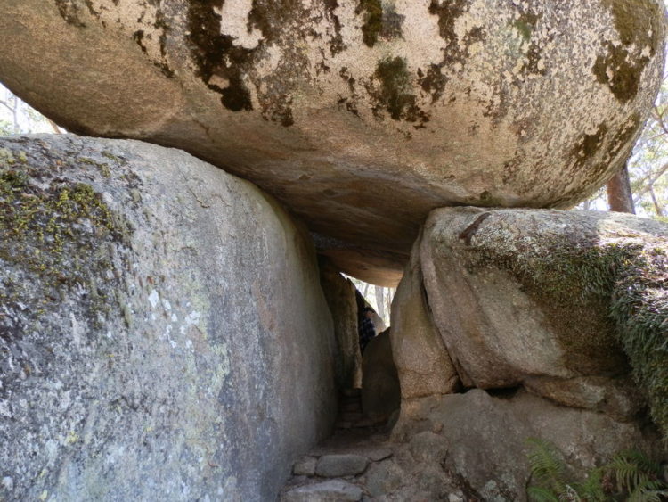 Granite Titans on the Bald Rock Climb