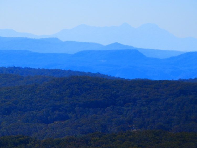 Bald Rock Walking trail Summit View