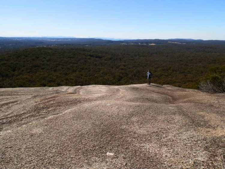 Where the Rock Face Track joins the main Bald Hill Climb Track