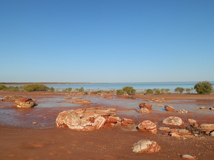 Rocks at Roebuck Bay, Broome Bird Observatory