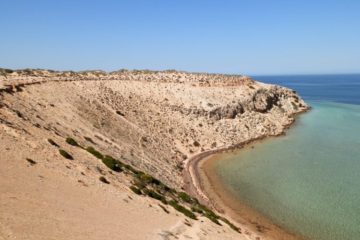 Eagle Bluff, via Denham, Shark Bay, Western Australia