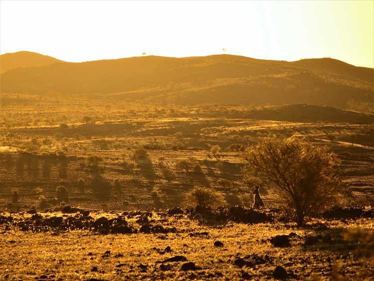 Tibooburra Sunset with Kangaroo, New South Wales